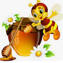 L abeille et le miel 1